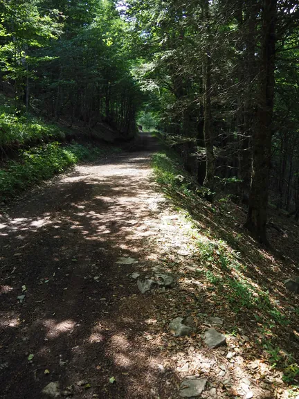 Le Grand Ballon (Frankrijk)